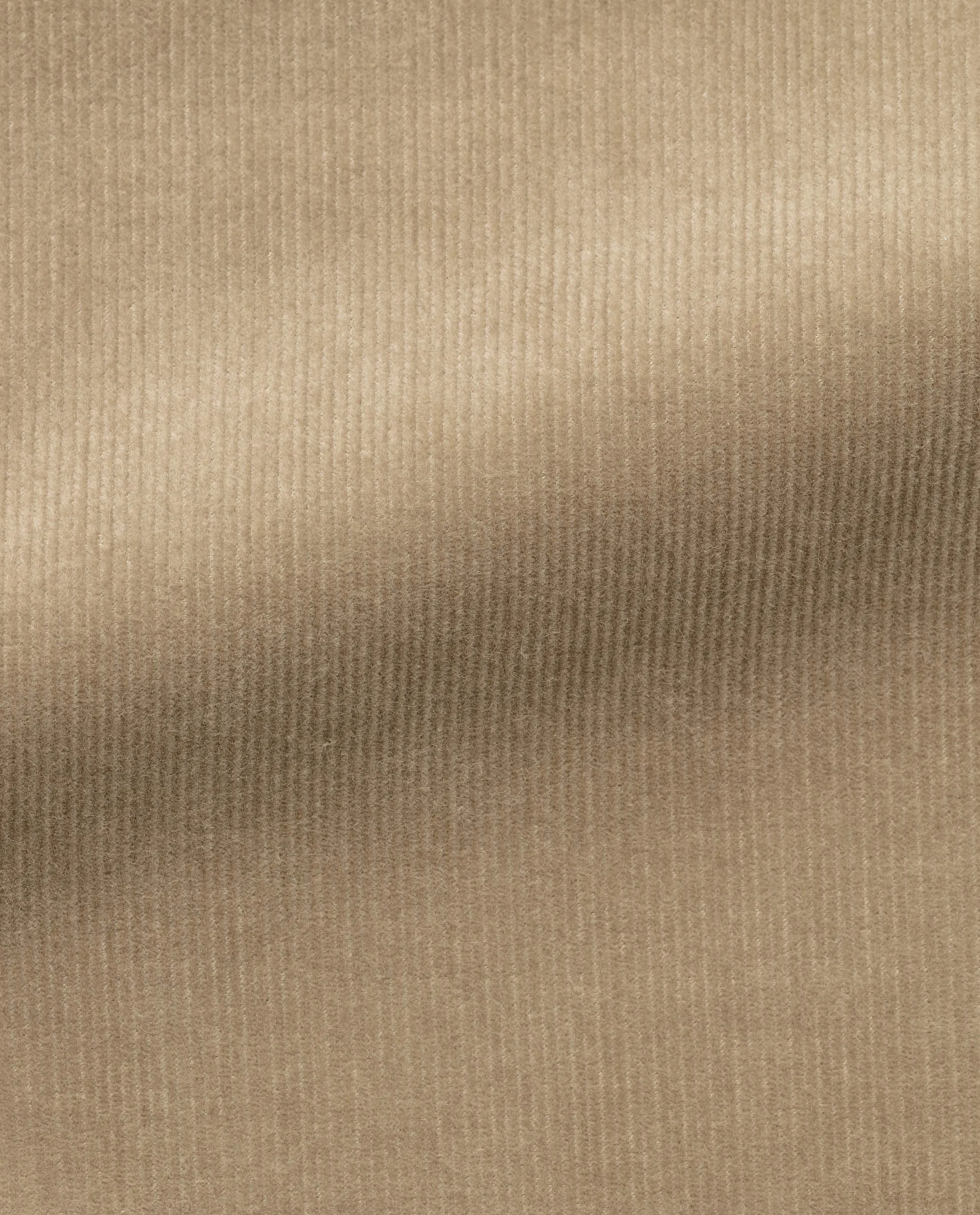 Olimpias Tan Cotton & Lyocell Corduroy Stretch