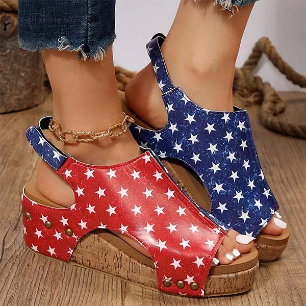 Women's Fish Mouth Velcro Thick Sole Roman Sandals 09713668C